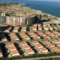 یک-خواب-دامون-سند-دار