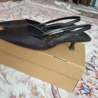 کفش مجلسی زنانه|کیف، کفش، کمربند|کرج, کارخانه قند|دیوار