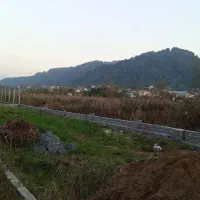 158متر-زمین-مسکونی-5دقیقه-تا-استخر