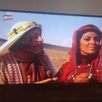 تلویزیون نکسار ۴۳اینچ