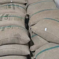 فروش مستقیم دان قهوه و تجهیزات بدون واسطه