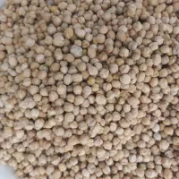 گردو بوانات|خوردنی و آشامیدنی|شیراز, سعدیه جنوبی|دیوار