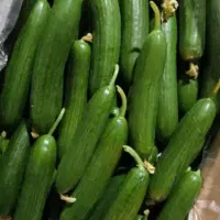 خریدوفروش انواع میوه و خرما حبوبات میدان تره بار|خوردنی و آشامیدنی|اسلام‌شهر, زرافشان|دیوار