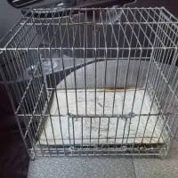 3 عدد قفس سهره