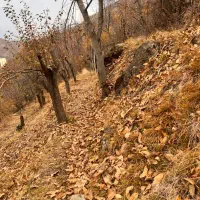 ۱۰۰۰متری روستای کلوان|فروش زمین و ملک کلنگی|آسارا, |دیوار