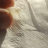 مهره گبری|کلکسیون اشیاء عتیقه|بوشهر, |دیوار