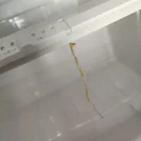 یخچال فریزر اسنوا|یخچال و فریزر|مشهد, رضاشهر|دیوار