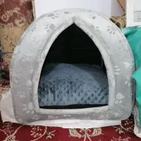 جای خواب گربه + اشانتیون