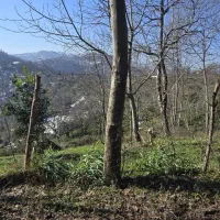 6000هزارمترباغ-چسبیده-به-ویلا