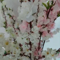 شراکت با250میلیون تمام وقت در فست فوت تولیدی فروش