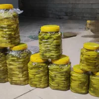 ترشی بیلهر