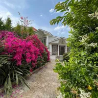 فروش-فوری300مترویلاباغ-پیلوت-جنگلی-همصفاباسند-5400