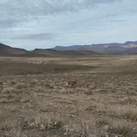 با سلام هم خونه فقط خانوم