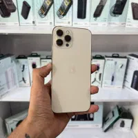 12promax بدون تعیمر