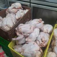کارگر در مغازه مرغ ماهی خرده فروشی|استخدام خدمات فروشگاه و رستوران|تهران, مینای شمالی (مخبر)|دیوار