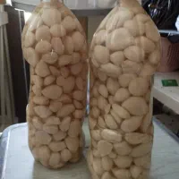 سیر ترشی مخلوط سرکه و آب شور