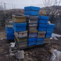 کندو زنبور عسل|لوازم جانبی حیوانات|گهواره, |دیوار