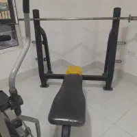 پرست تخت با هالتر