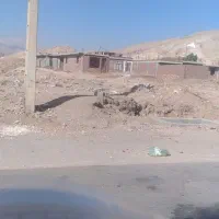 14قصب تجاری مسکوونی