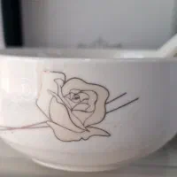 ظروف سوپ خوری و یا ماست خوری چینی با قاشق( 4 عدد )