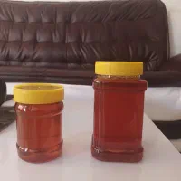 عسل چهل گیاه|خوردنی و آشامیدنی|شیراز, گویم|دیوار