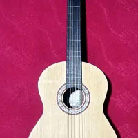 گیتار پارسی M2