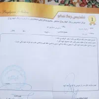 ریو مدل ۹۰|خودرو سواری و وانت|نیشابور, شهرک قدس|دیوار