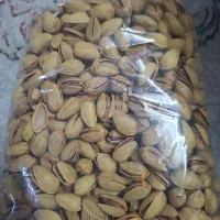 پسته احمداقایی