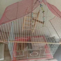 قفس بزرگ طوطی عروس|لوازم جانبی حیوانات|هشتگرد, هشتگرد قدیم|دیوار