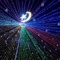 تشریفات مجالس (دستوان)|خدمات پذیرایی، مراسم|خنج, |دیوار