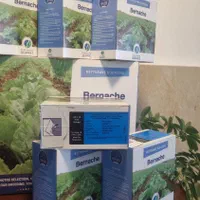 بذرچغندربرناچ وداوینچی