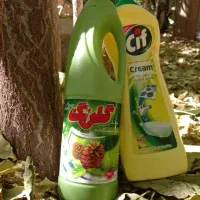 تمیزکاری با تیم پاک رخشان