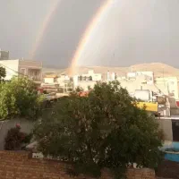 هم-خانه