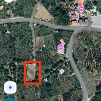 فروش-1700-متر-باغ-گردویی-در-شهر-توریستی-سیسخت