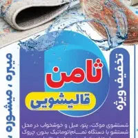 قالیشویی ومبل وموکت وپتو