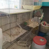 تعدادی قفس پرنده