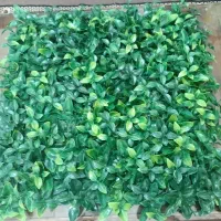 دیوار سبز گیرین وال