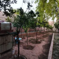 فروش باغچه ۶۰۰ متری در شورقلعه داخل بافت|فروش خانه و ویلا|چهارباغ, |دیوار