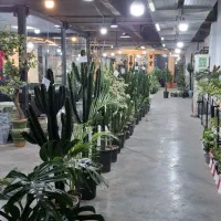 تعدادی مغازه با متراژهای مختلف در مگامال اکباتان