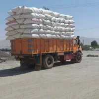 کاه گندم کردستان