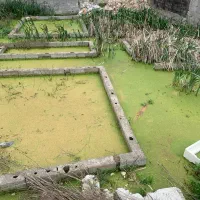 زمین ۱۷۵ متری