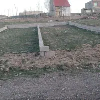 زمین در شام اسبی