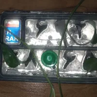 پلاک موتور سیکلت پیدا شده