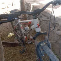 دوچرخه ۲۶نونو|دوچرخه، اسکیت، اسکوتر|کبودرآهنگ, |دیوار