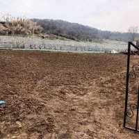 فروش فوری زمین