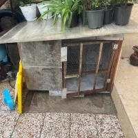 جای سگ برای حیاط