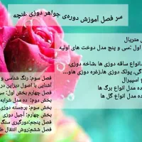 آموزش جواهر دوزی|خدمات آموزشی|مشهد, کوه سنگی|دیوار