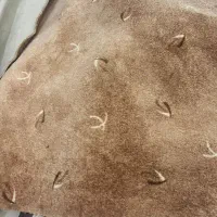 پالاز موکت