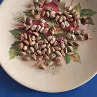 خریدار انواع ارقام پسته|خدمات باغبانی و درختکاری|سروستان, |دیوار