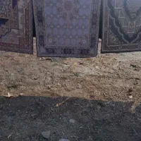 قالیچه حراج واقعی